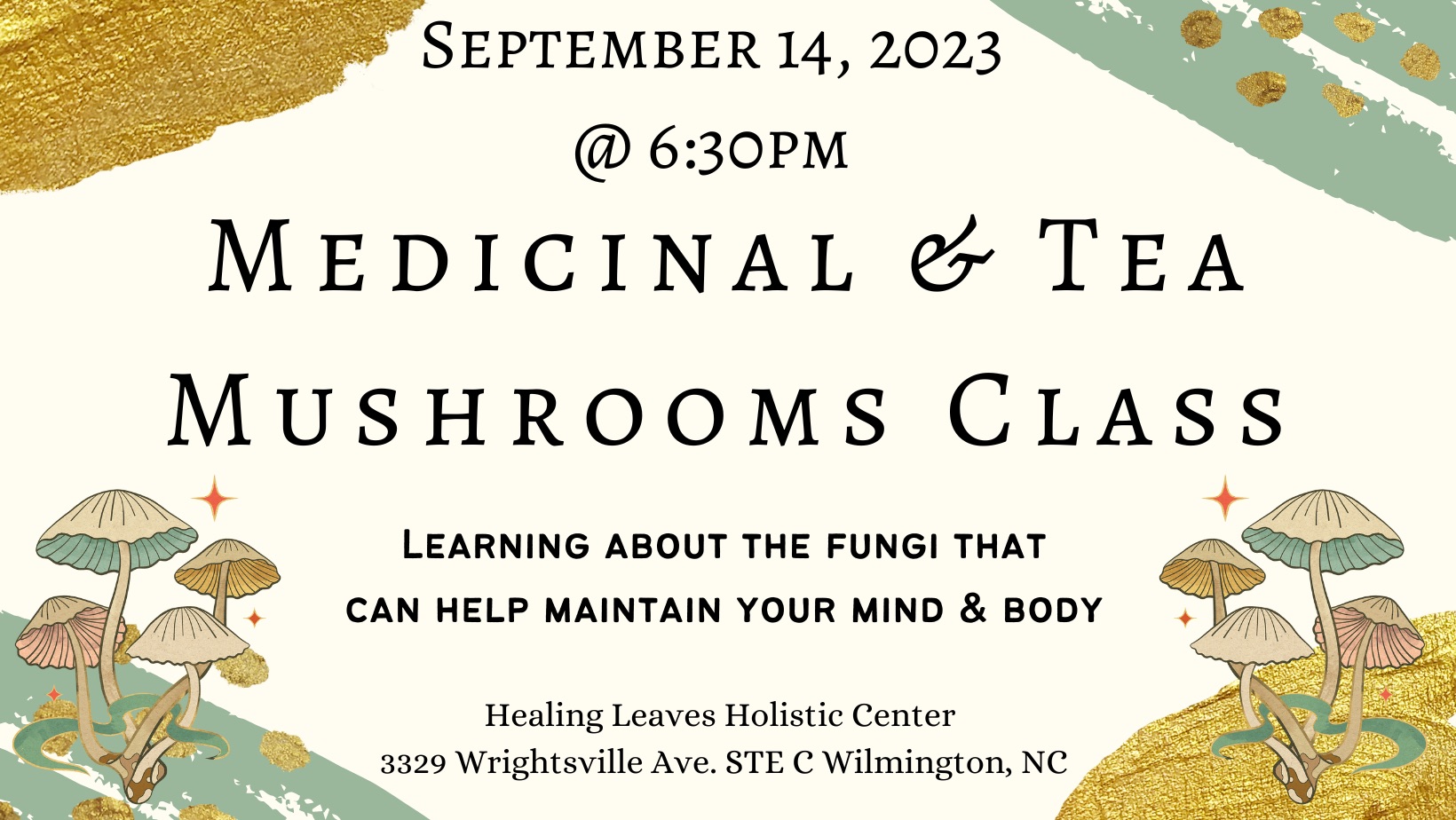 Medicinal & Tea Mushrooms Class with Ashlyn