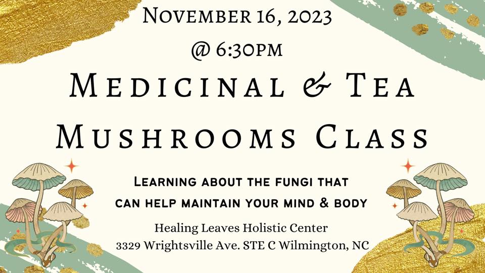 Medicinal & Tea Mushrooms Class